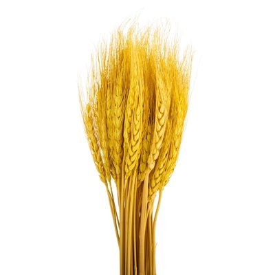 Букет из 3 сухоцветов "Пшеница", желтая, 60 см 9072-002 фото