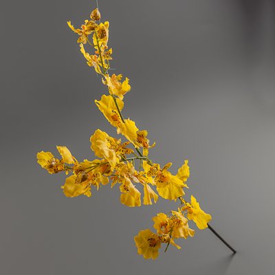 Орхидея (силикон, 70 см) 115F/yellow фото