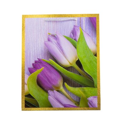 Подарочный пакет "Тюльпаны", 26*32 см 9069-015 фото