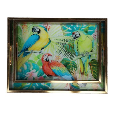 Набор подносов "Тропические попугаи" 8913-003 фото