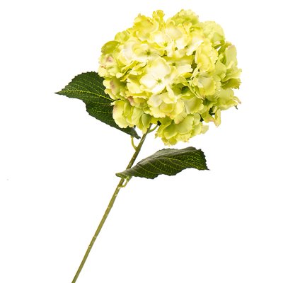 Цветок искусственный "Гортензия лимонная" 2000-003GN фото