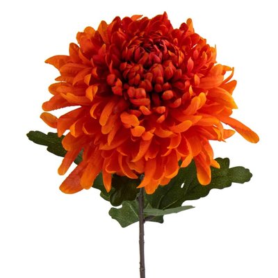 Хризантема "Золотой закат", оранжевая 2000-088OG фото