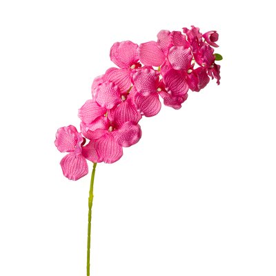 Орхідея онцидиум, розова 8701-033 фото