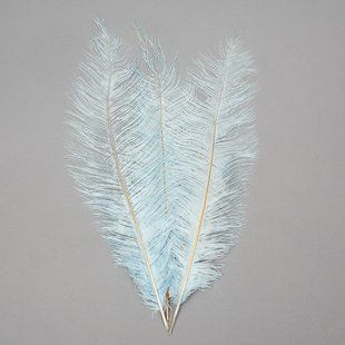 Страусине перо 55 см світло-блакитний 8501-001/light-blue фото