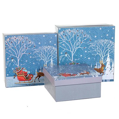 Набір з 3 коробок "Зима", синій, 20*20*9,5 8211-052 фото