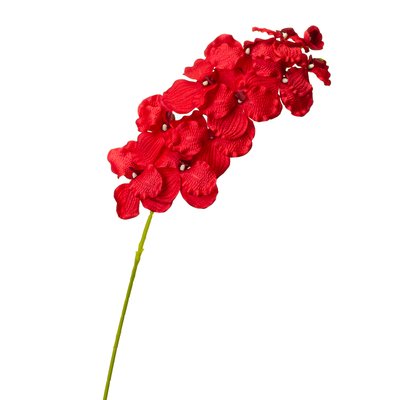Орхідея онцидиум, червона 8701-034 фото