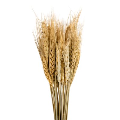 Букет із сухоцвітів "Пшениця", бежева, 60 см 9072-003 фото
