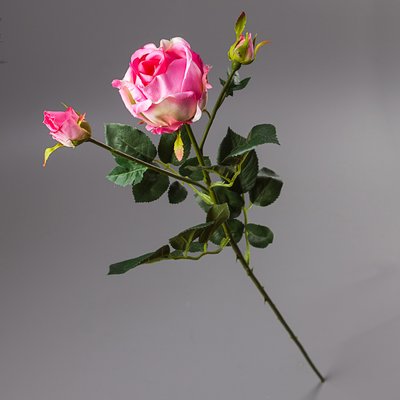 Троянда (78 см) 031F/pink фото
