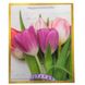 Подарочный пакет "Тюльпаны", 30*41,5 см 9069-014 фото 4