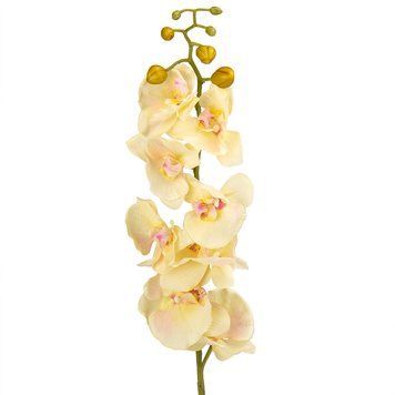 Орхидея (90 см, силикон) (крем) 034F/cream фото