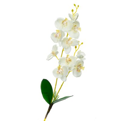 Орхідея катлея, біла з рожевим 8701-026 фото