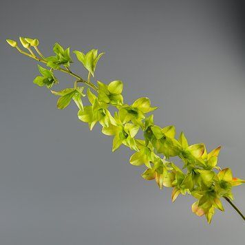 Орхидея (силикон, 87 см) 072F/green фото