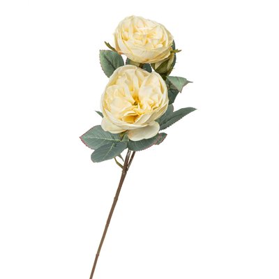 Пионовидная троянда 8721-023 фото