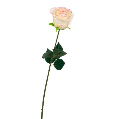 Троянда, біло-рожева 69 см 8717-032 фото