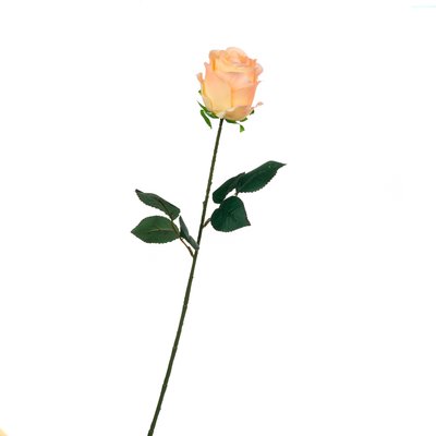 Троянда, рожева, 69 см 8717-033 фото