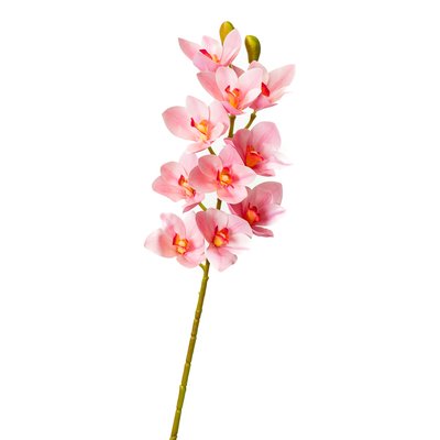Орхідея ванда, ясно-рожева 8701-027 фото