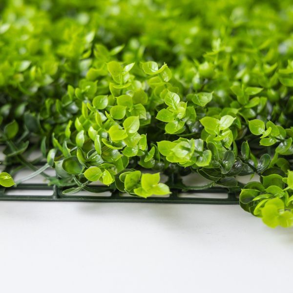 Фітомодуль штучний "Самшит", 50*50 см 19295-020 фото