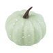 Набір декоративних гарбузиків "Осінній мікс", 10 шт, 7 см 9223-040 фото 5