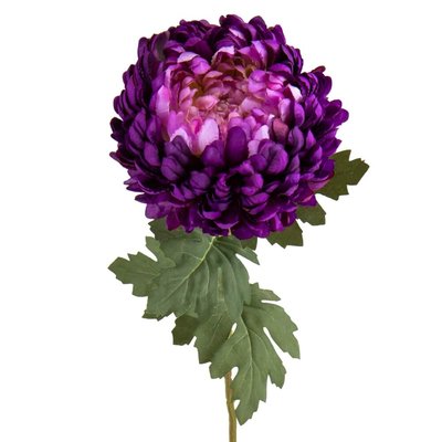 Хризантема "Пурпурова лавина", фіолетова 2000-080PL фото