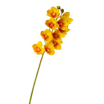 Орхідея ванда, жовта 8701-029 фото