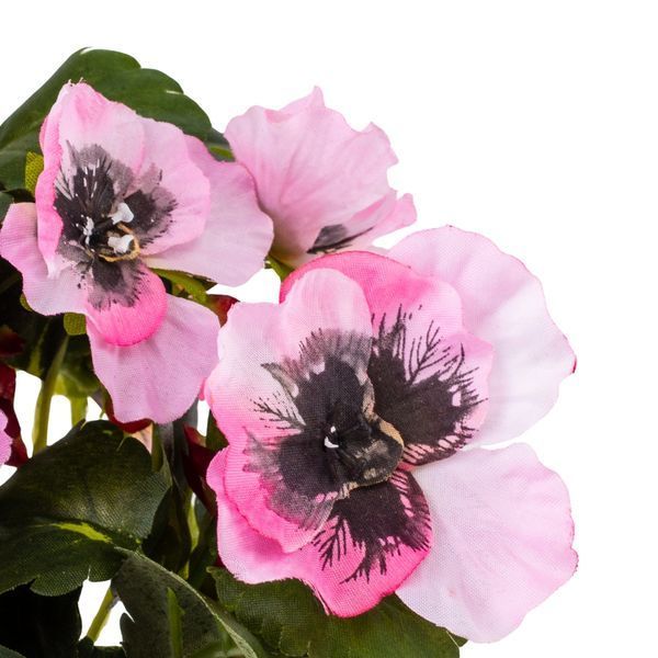 Анютины глазки (25 см) 106F/pink фото
